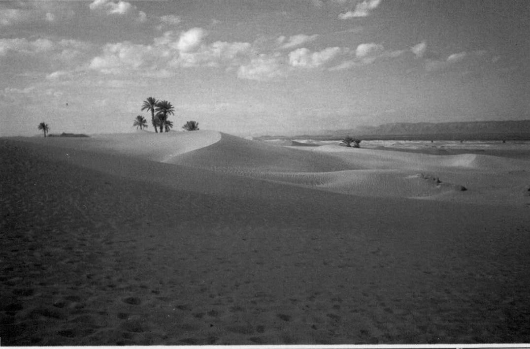 Prévisualisation du document Maroc: Erfoud, paysage de dunes.