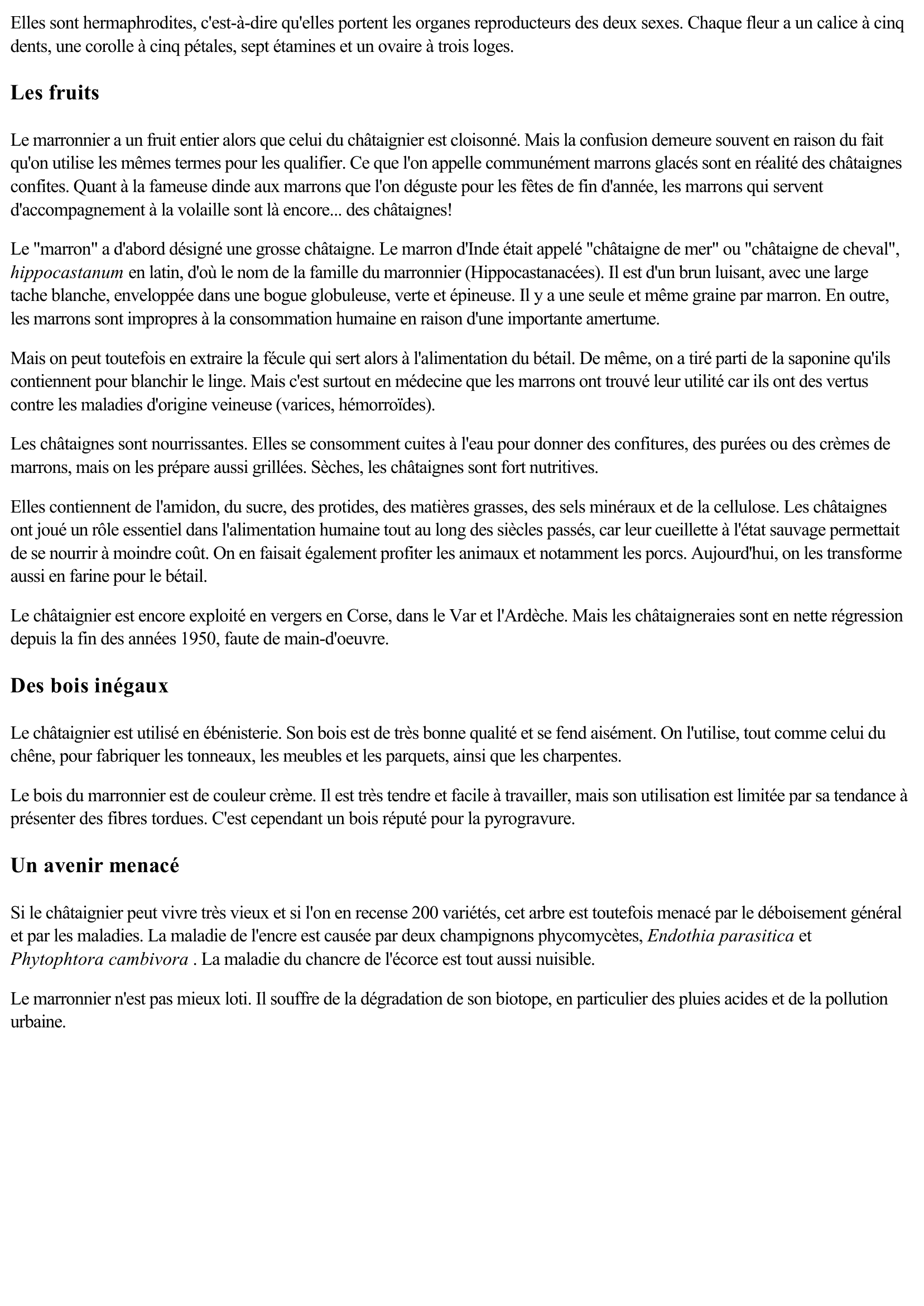 Prévisualisation du document Marronniers et châtaigniers (Faune et Flore)
