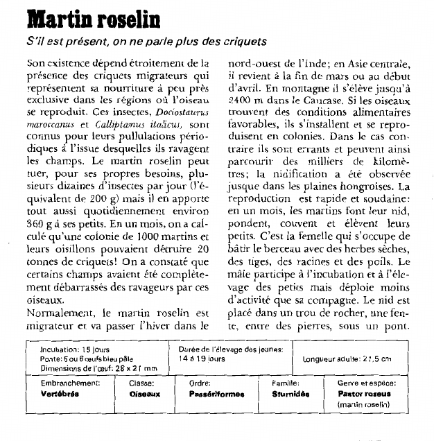 Prévisualisation du document Martin roselin:S'il est présent, on ne parle plus des criquets.