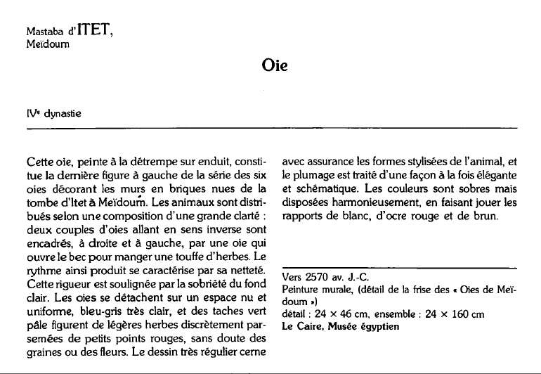 Prévisualisation du document Mastaba d'ITET, Meïdourn:Oie.