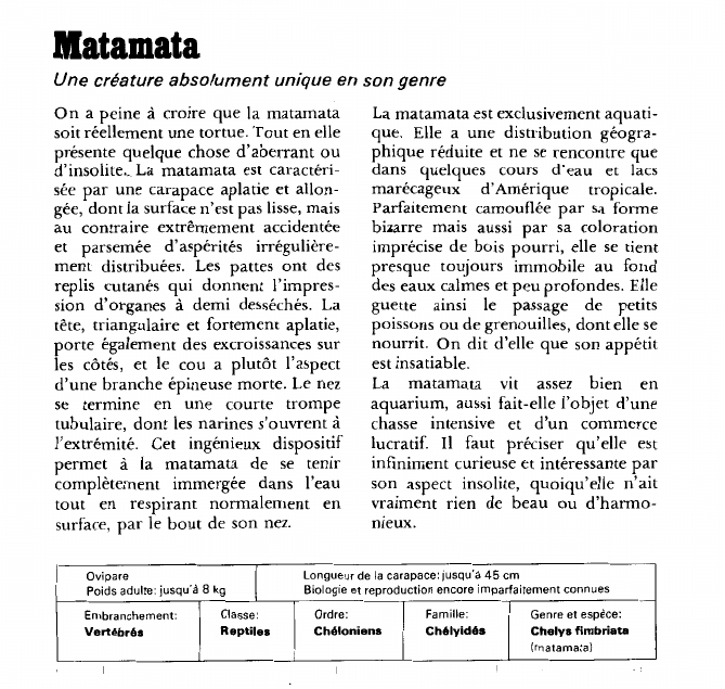Prévisualisation du document Matamata:Une créature absolument unique en son genre.