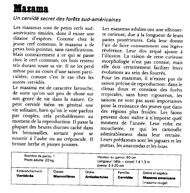 Prévisualisation du document Mazama:Un cervidé secret des forêts sud-américaines.