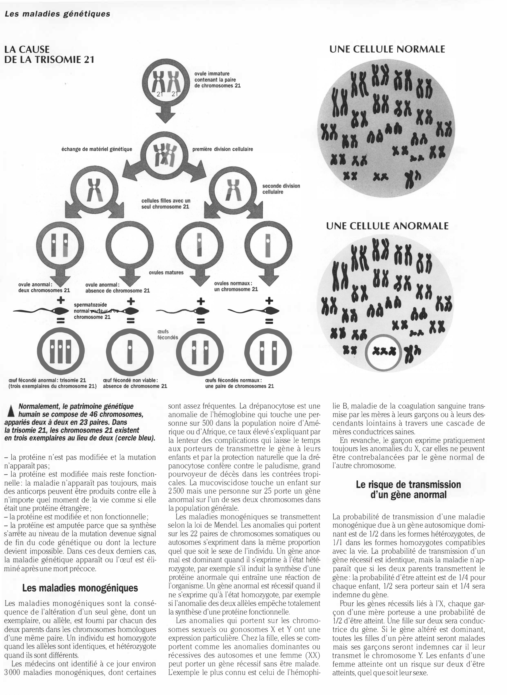 Prévisualisation du document Médecine LES MALADIES GÉNÉTIQUES