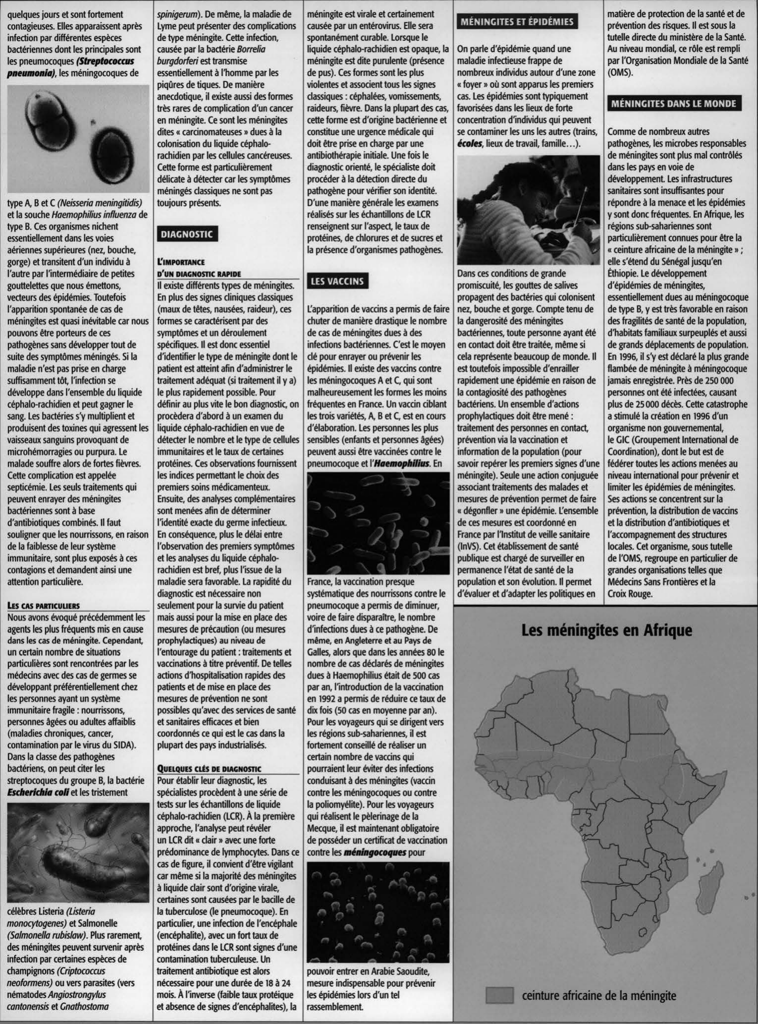 Prévisualisation du document Médecine & Santé - Pathologies & Traitements : LES MÉNINGITES