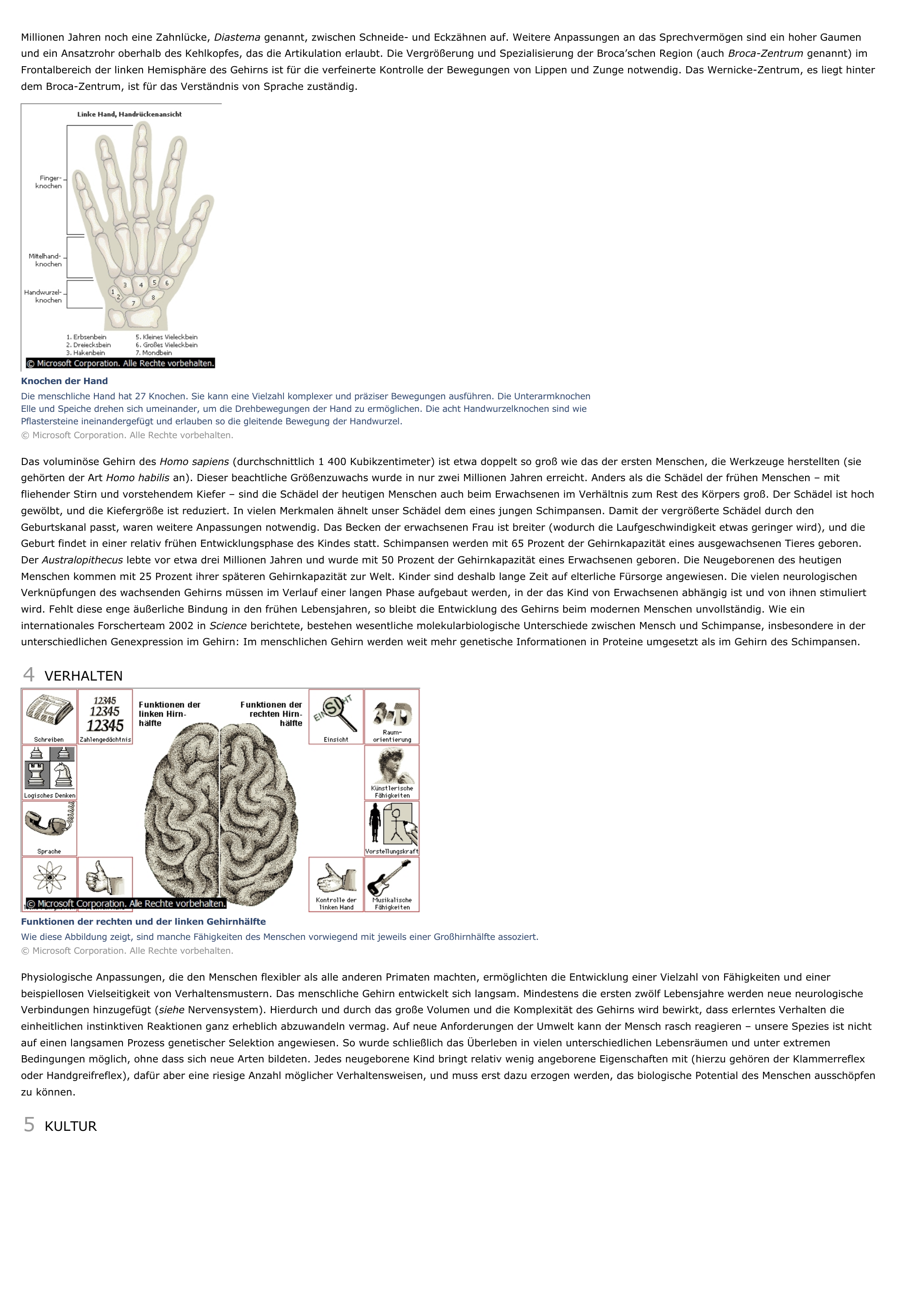 Prévisualisation du document Mensch (Biologie) - biologie.