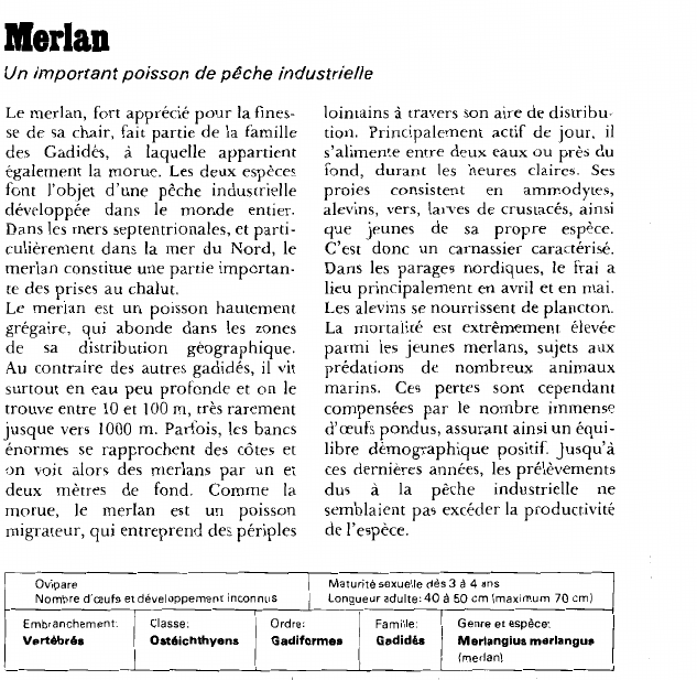 Prévisualisation du document MerlanUn important poisson de pêche industrielle.