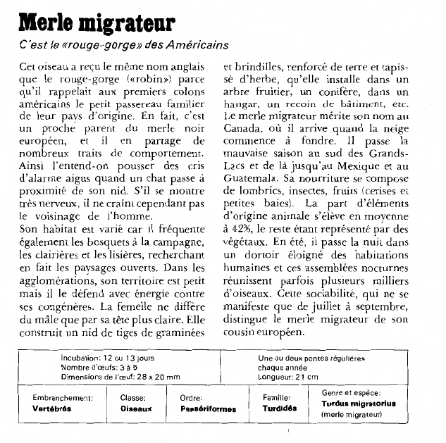 Prévisualisation du document Merle migrateur:C'est le «rouge-gorge» des Américains.