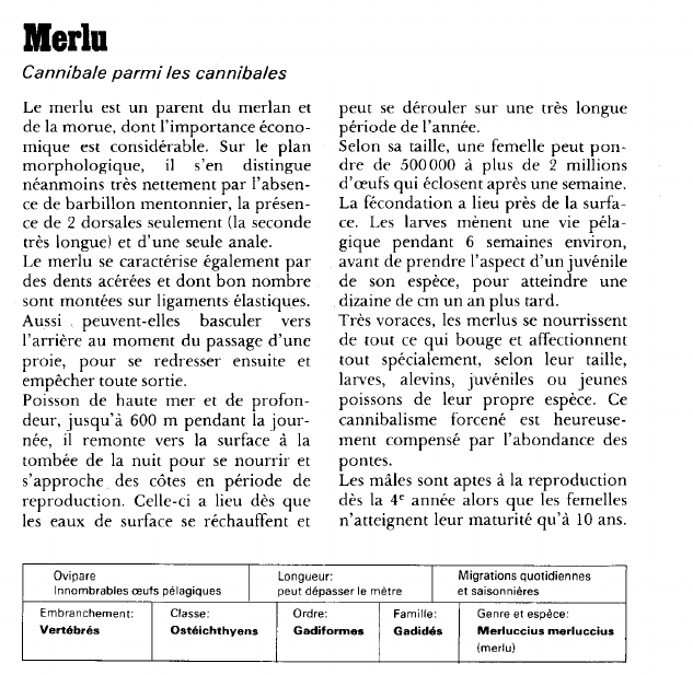 Prévisualisation du document MerluCannibale parmi les cannibales.