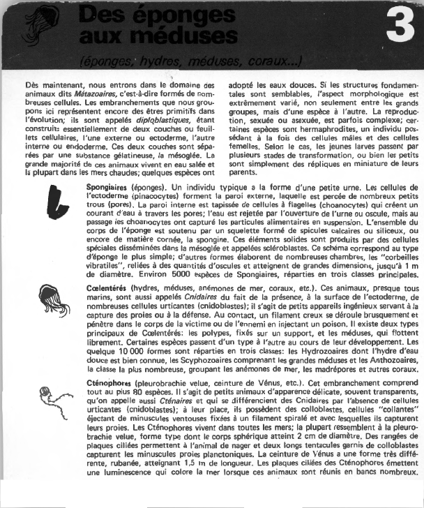 Prévisualisation du document Métazoaires.