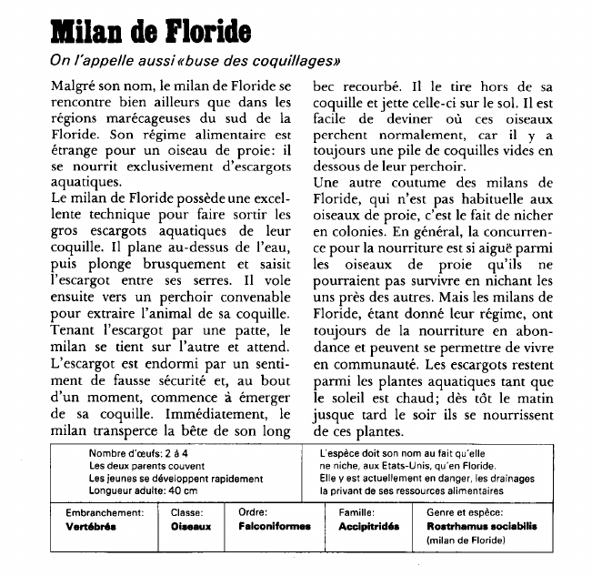 Prévisualisation du document Milan de Floride:On l'appelle aussi «buse des coquillages».