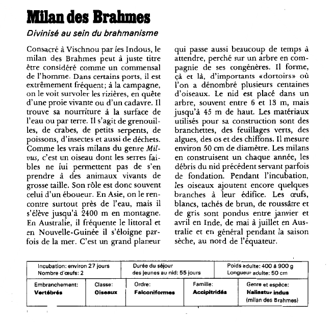 Prévisualisation du document Milan des Brahmes:Divinisé au sein du brahmanisme.