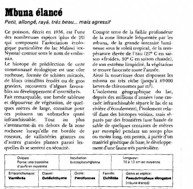Prévisualisation du document Mima élancé.