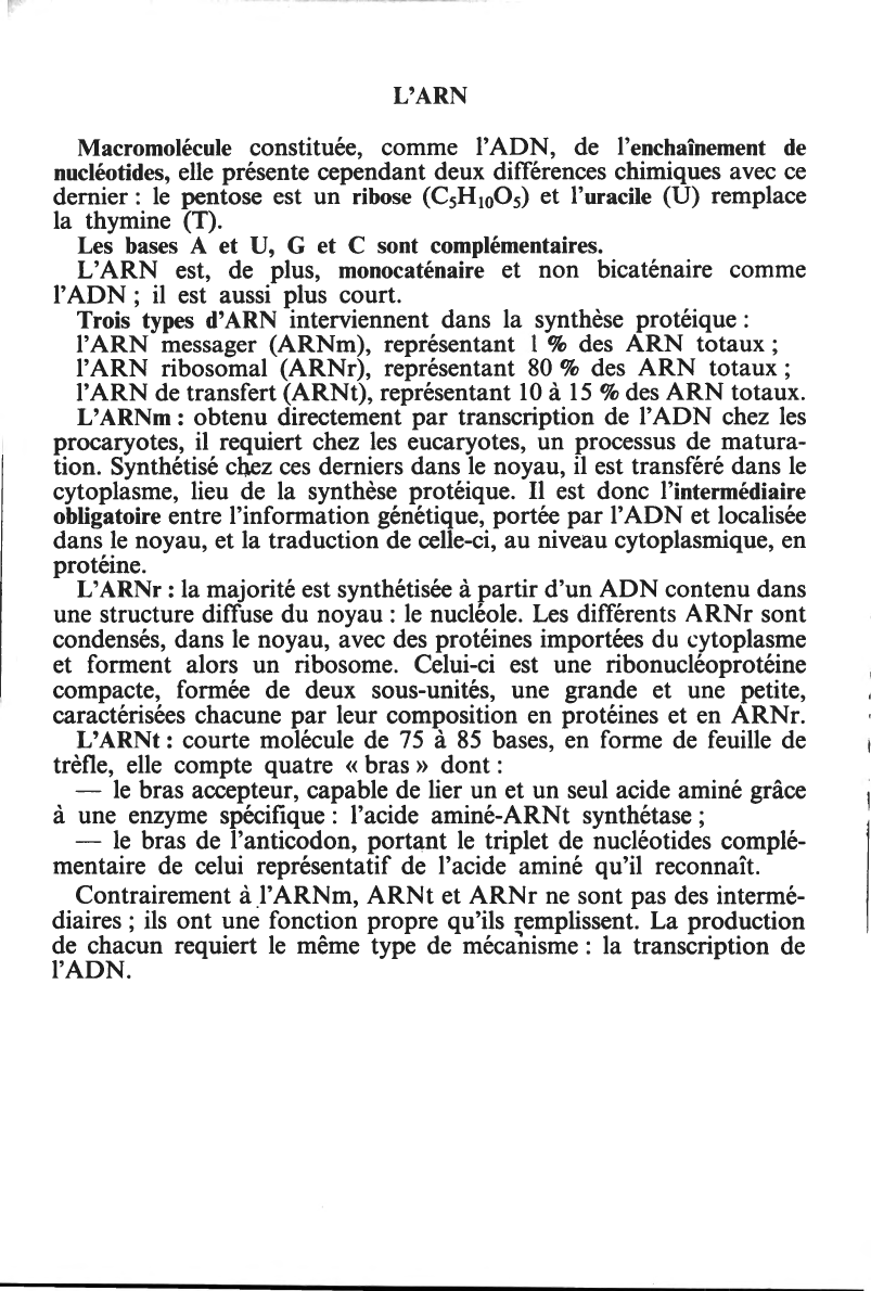 Prévisualisation du document Mitose et ARN