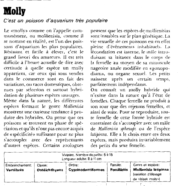 Prévisualisation du document MollyC'est un poisson d'aquarium très populaire.