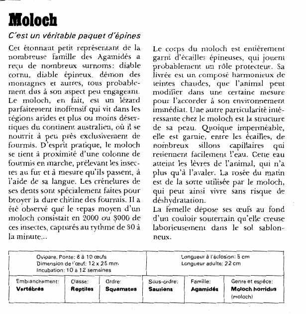 Prévisualisation du document Moloch:C'est un véritable paquet d'épines.