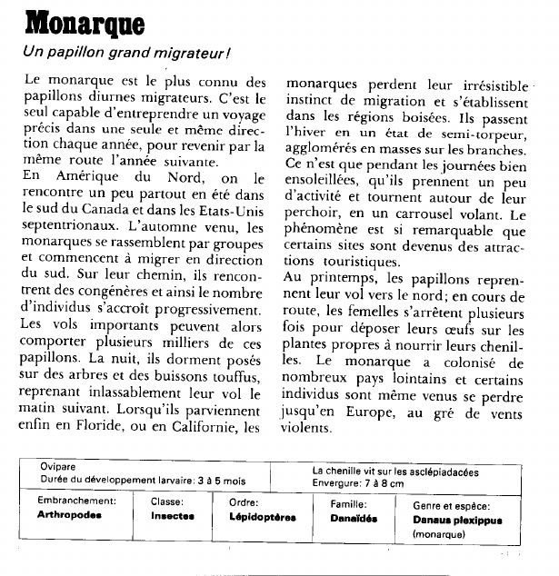 Prévisualisation du document Monarque:Un papillon grand migrateur!