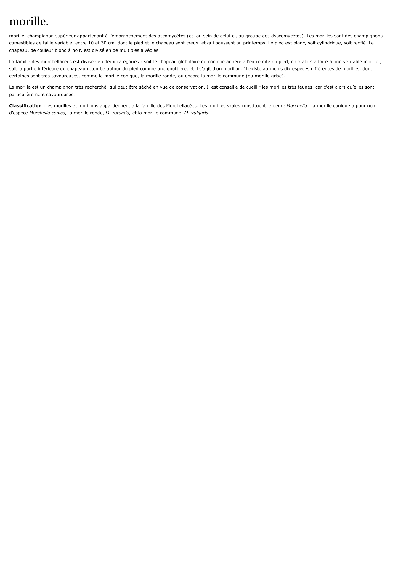 Prévisualisation du document morille.