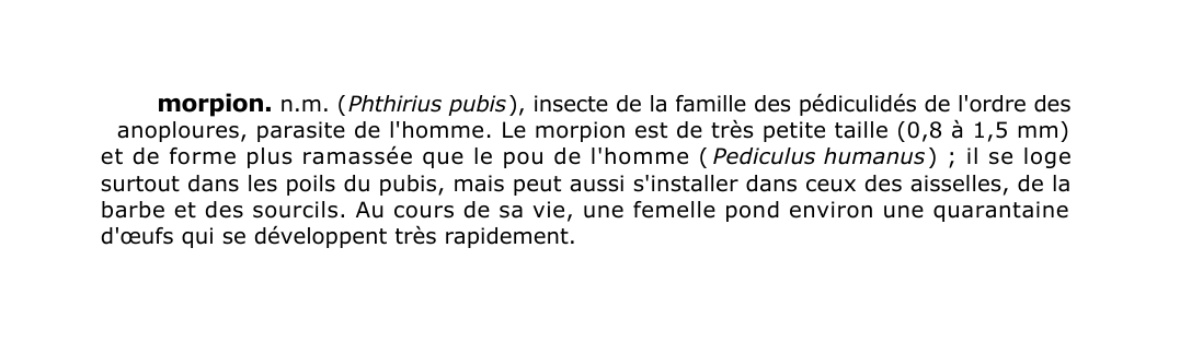 Prévisualisation du document morpion.