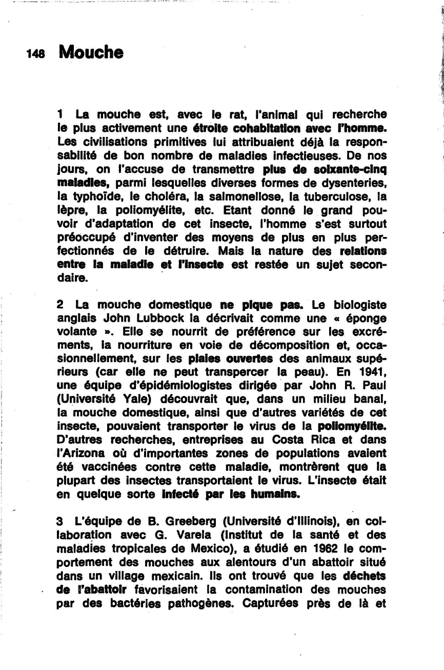Prévisualisation du document Mouche