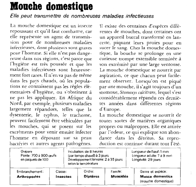 Prévisualisation du document Mouche domestique:Elle peut transmettre de nombreuses maladies infectieuses.