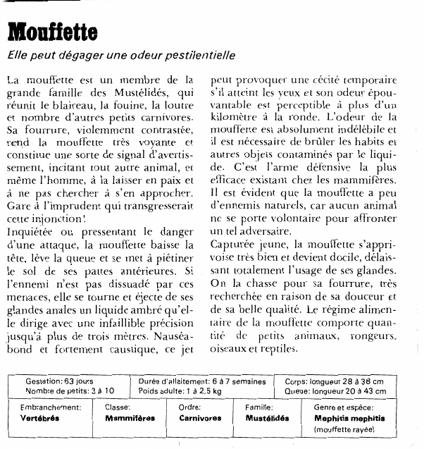 Prévisualisation du document MouffetteElle peut dégager une odeur pestilentielleLa mouffette est un membre de la grande famille des Mustélidés, qui réunit le blaireau, la fouine, la loutre et nombre d'autres petits carnivores.