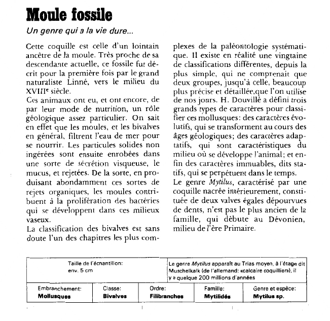 Prévisualisation du document Moule fossile:Un genre qui a la vie dure.