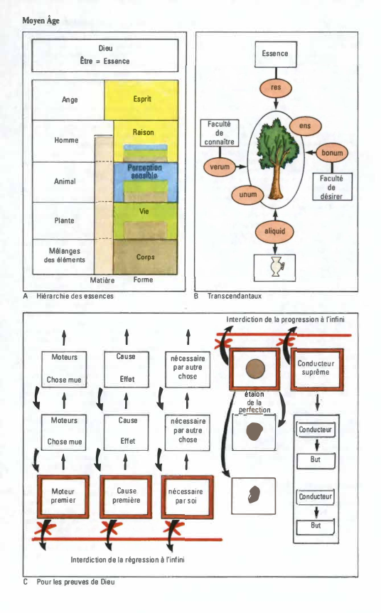 Prévisualisation du document MoyenÂge
Dleu

Essence

ttre = Essence
Esprit

Ange

Homme

....,.._
.......

----Animal
Plante
Mélanges
des éléments

A

Raison

-

----...