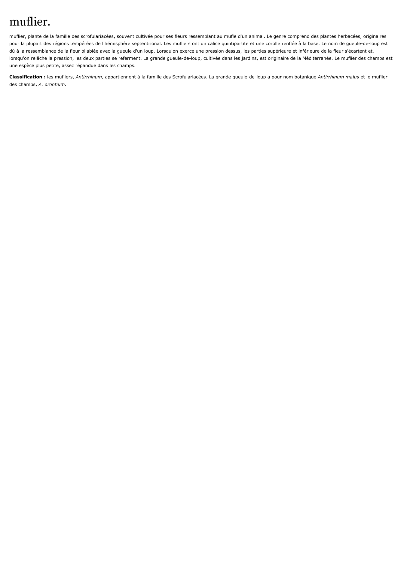 Prévisualisation du document muflier.
