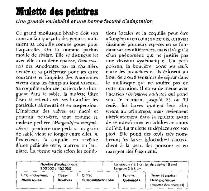 Prévisualisation du document Mulette des peintresUne grande variabilité et une bonne faculté d'adaptation.