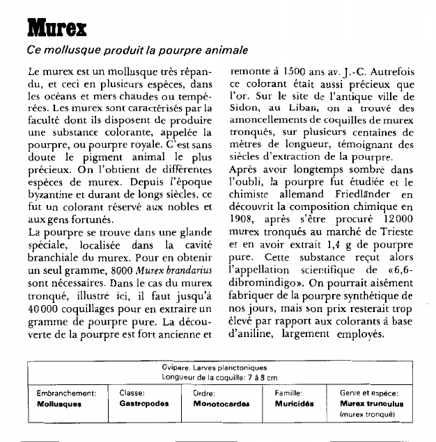 Prévisualisation du document Murex:Ce mollusque produit la pourpre animale.