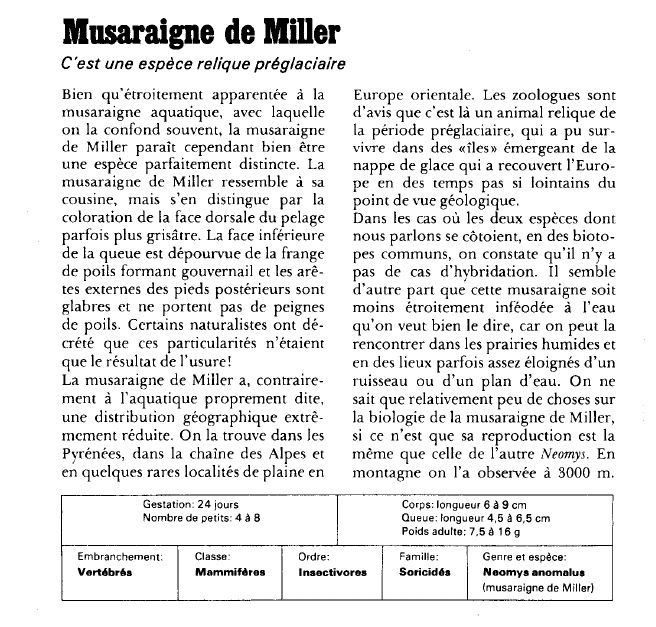 Prévisualisation du document Musaraigne de Miller:C'est une espèce relique préglaciaire.