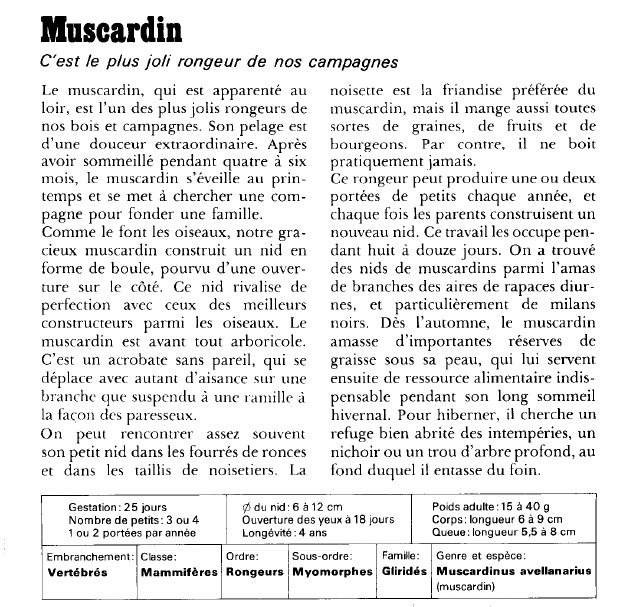 Prévisualisation du document Muscardin:C'est le plus joli rongeur de nos campagnes.