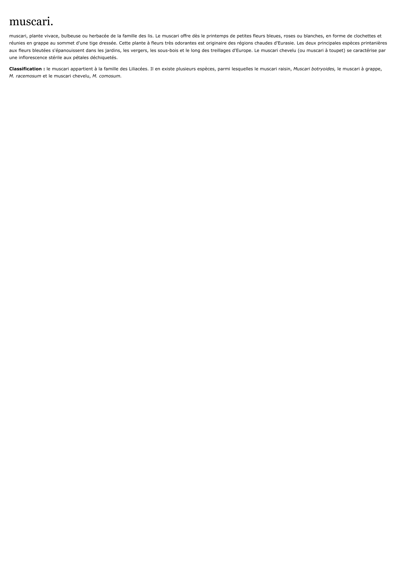 Prévisualisation du document muscari.