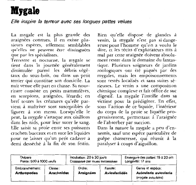 Prévisualisation du document Mygale:Elle inspire la terreur avec ses longues pattes velues.