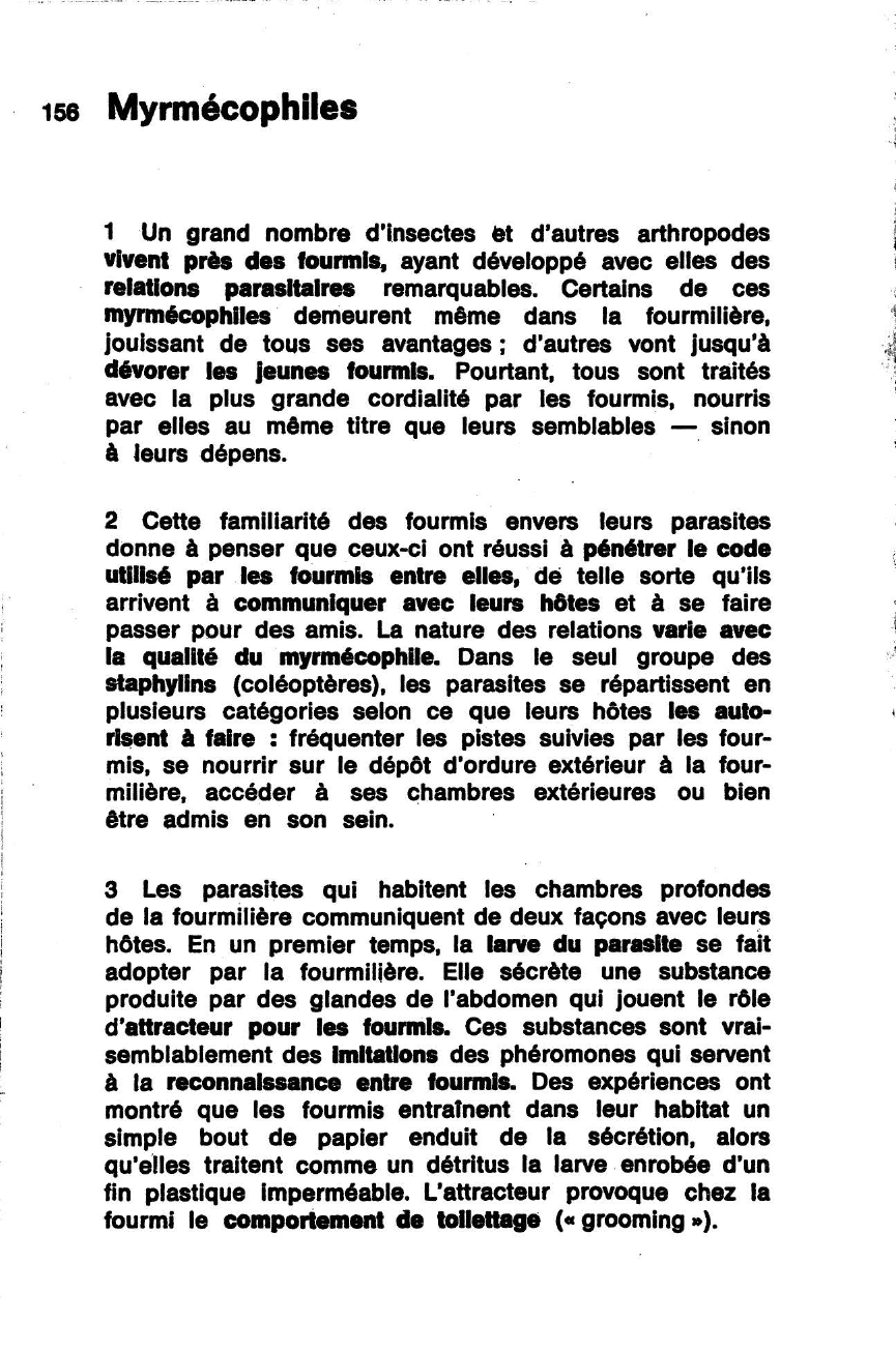 Prévisualisation du document Myrmécophiles