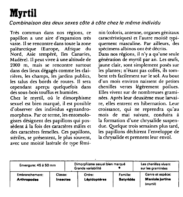 Prévisualisation du document Myrtil:Combinaison des deux sexes côte à côte chez le même individu.