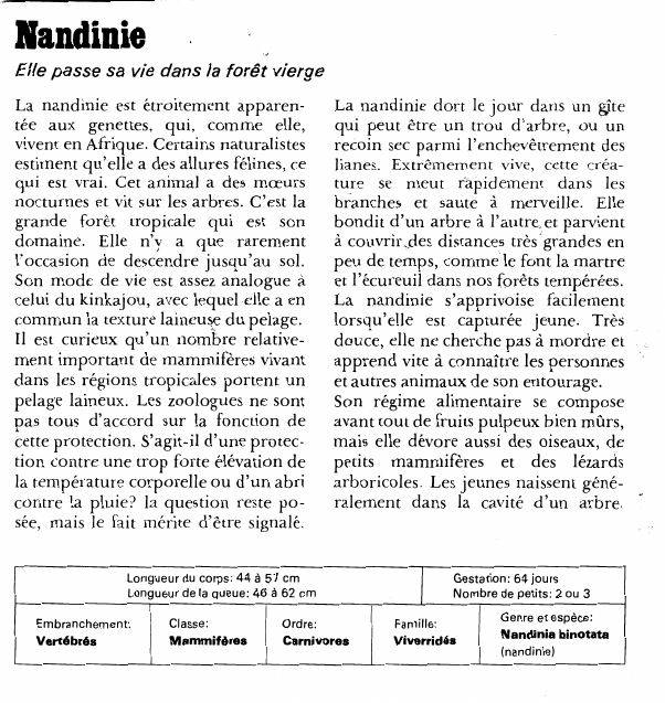 Prévisualisation du document NandinieElle passe sa vie dans la forêt viergeLa nandinie est étroitement apparentée aux genettes, qui, comme elle, vivent en Afrique.