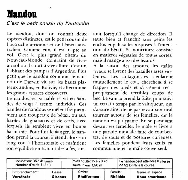 Prévisualisation du document Nandou:C'est le petit cousin de l'autruche.