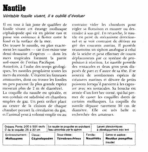Prévisualisation du document Nautile:Véritable fossile vivant, il a oublié d'évoluer.