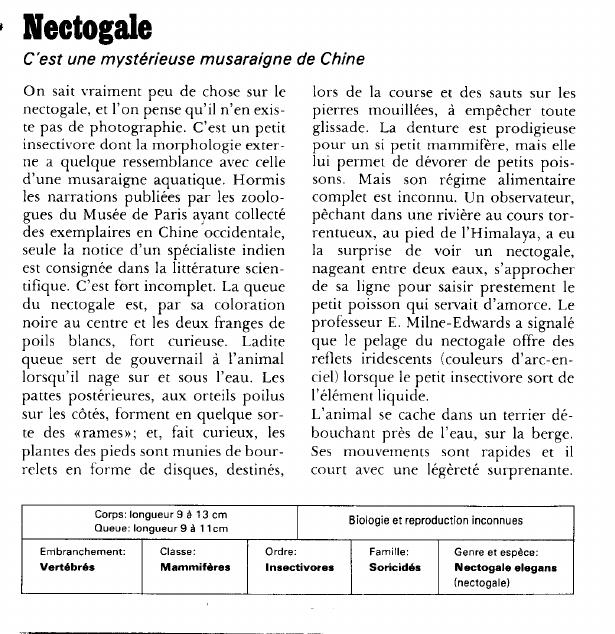 Prévisualisation du document Nectogale:C'est une mystérieuse musaraigne de Chine.