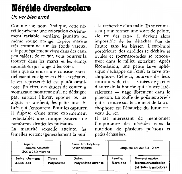 Prévisualisation du document Néréide diversicolore:Un ver bien armé.