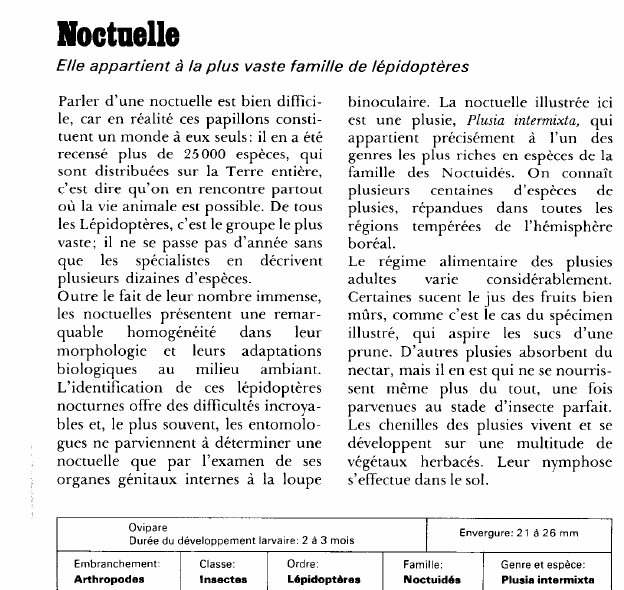 Prévisualisation du document Noctuelle:Elle appartient à la plus vaste famille de lépidoptères.