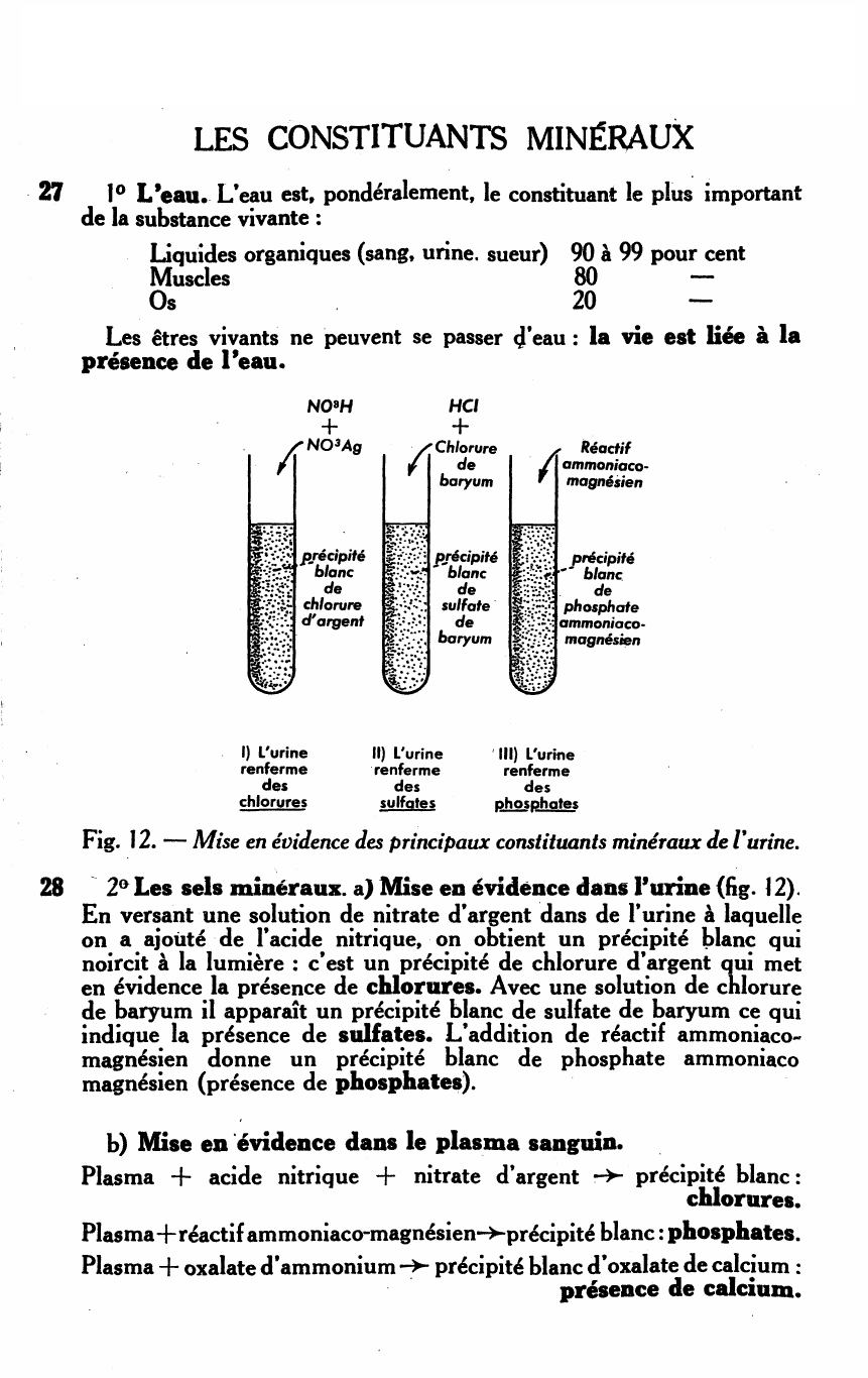 Prévisualisation du document NOTIONS DE CHIMIE