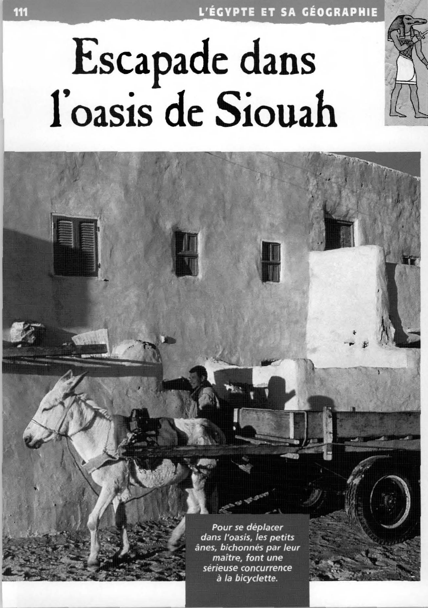 Prévisualisation du document Oasis de Siouah