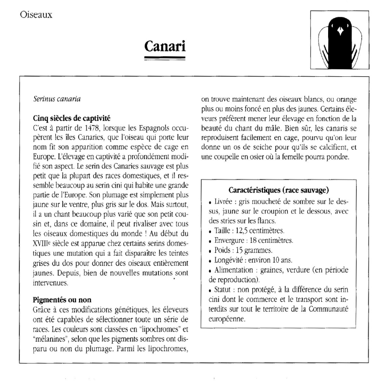 Prévisualisation du document Oiseaux	Canari.