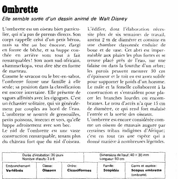 Prévisualisation du document OmbretteElle semble sortie d'un dessin animé de Walt Disney.