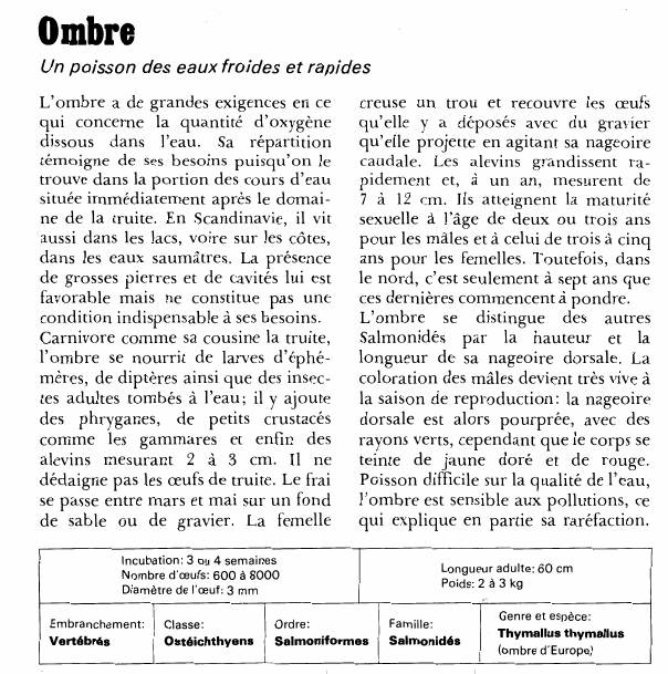 Prévisualisation du document Ombre:Un poisson des eaux froides et rapides.