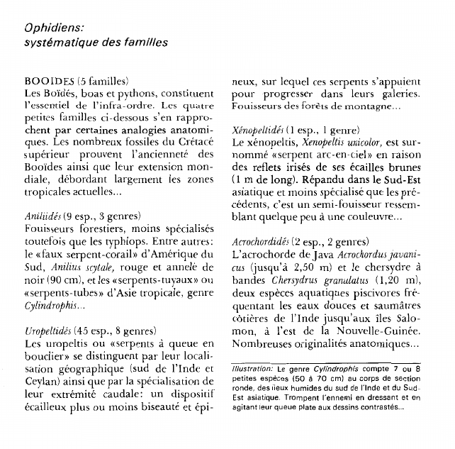 Prévisualisation du document Ophidiens:systématique des familles.