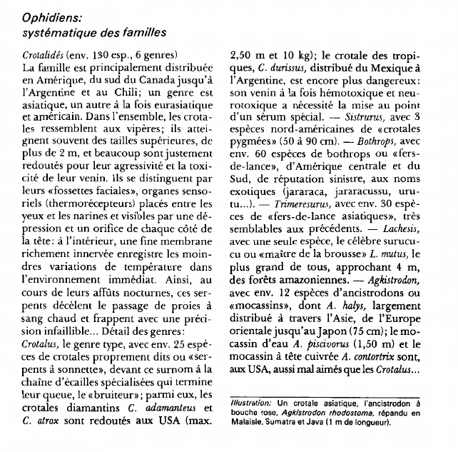 Prévisualisation du document Ophidiens:systématique des familles.