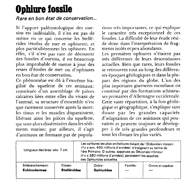 Prévisualisation du document Ophiure fossile:Rare en bon état de conservation.